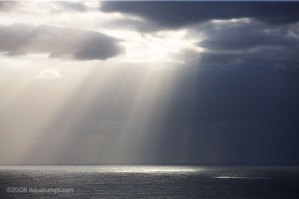 Rays of Light, Bondi, © aquabumps.com, 2008