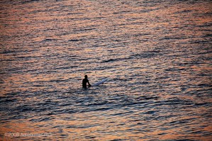 Bondi Waiting, © aquabumps.com, 2008