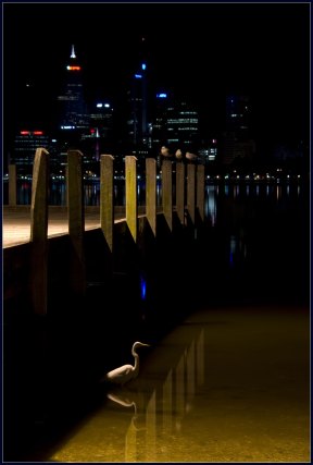 Mike Frakes, 'Great Egret'