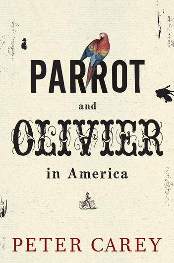 parrot-olivier-aus