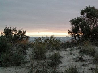 'West Beach Sandhills', © 2007, Barry Leadbeater 