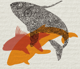 BBWF2015_07_WebsiteHeader3