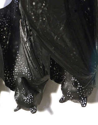 Detail from Kathy Holowko's 'Batmania', featured at Write Around the Murray.