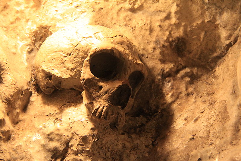 800px-Replica_of_Neanderthal_Skull_in_St._Michaels_Cave,_Gibraltar.jpg